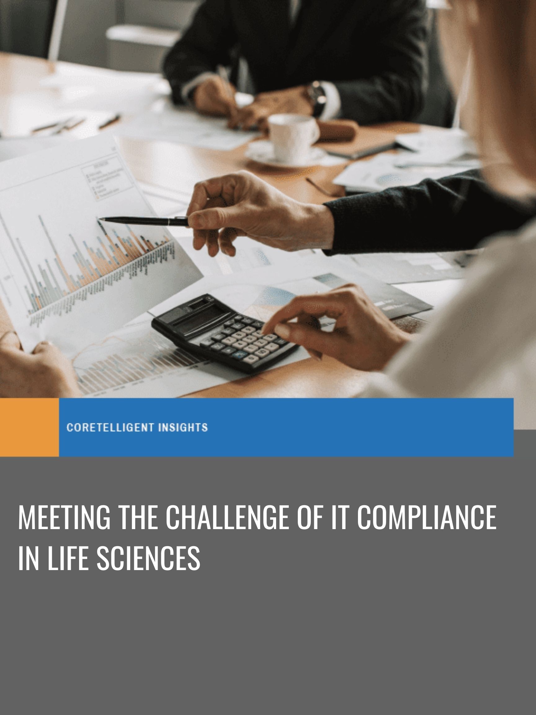 Meeting the Challenge of IT Compliance in Life Sciences
